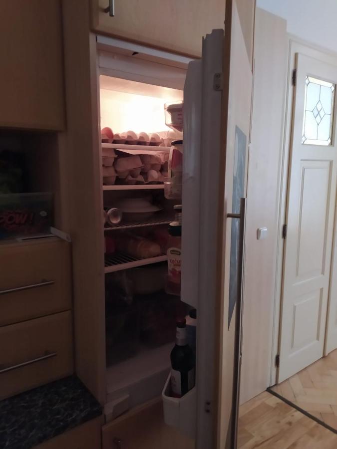 Private Room In Shared Luxurious Palace Like Apartment With 2 Bathrooms Including Whirlpool And Virtual Reality Прага Экстерьер фото